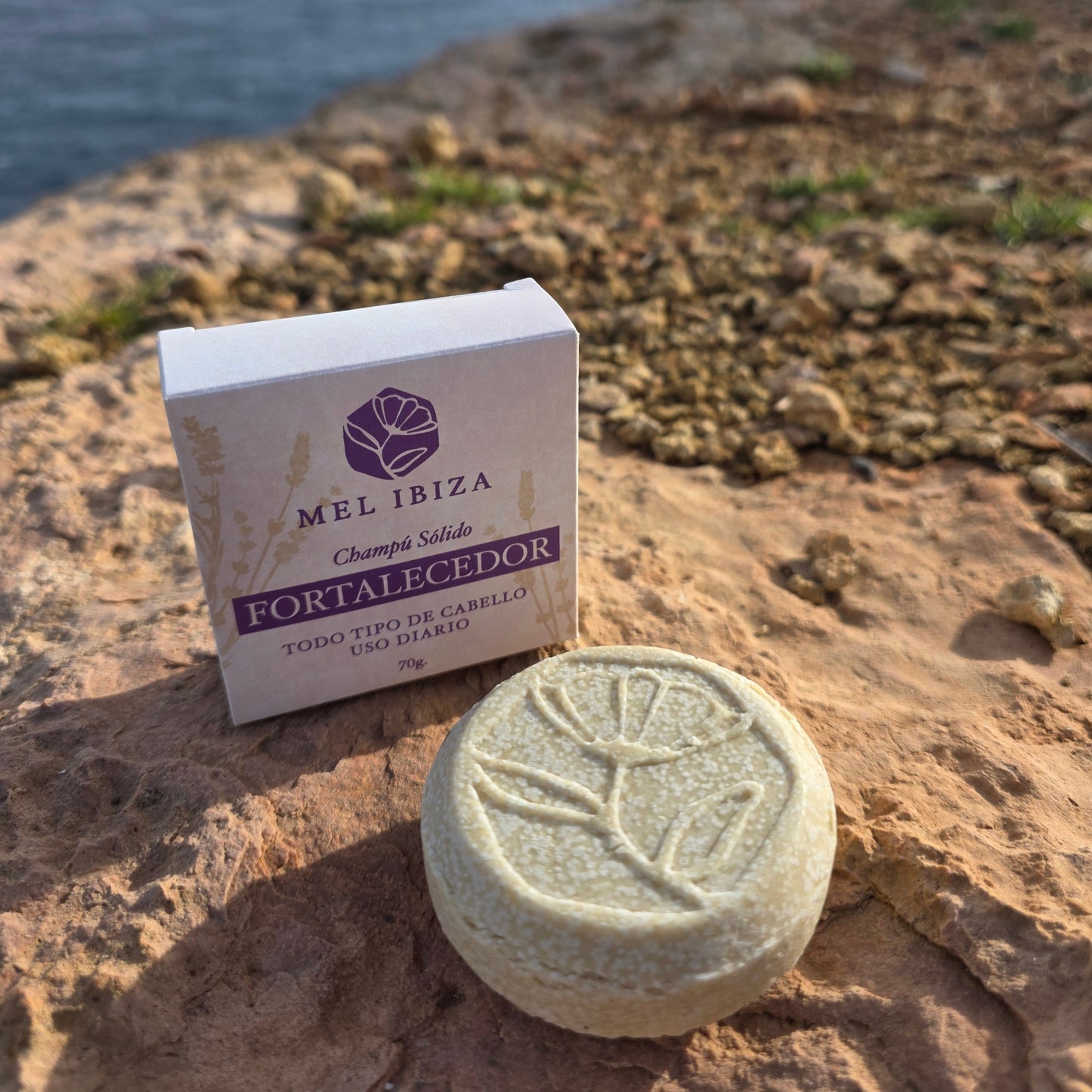 Champú Fortalecedor