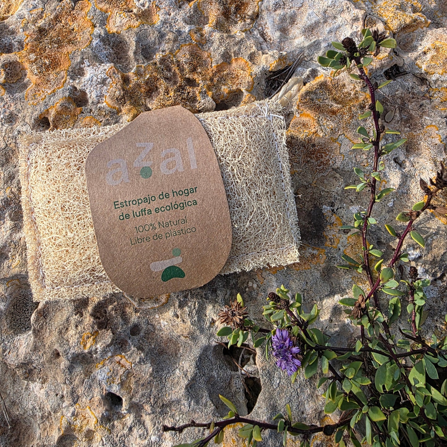 Estropajo de cocina luffa ecológica