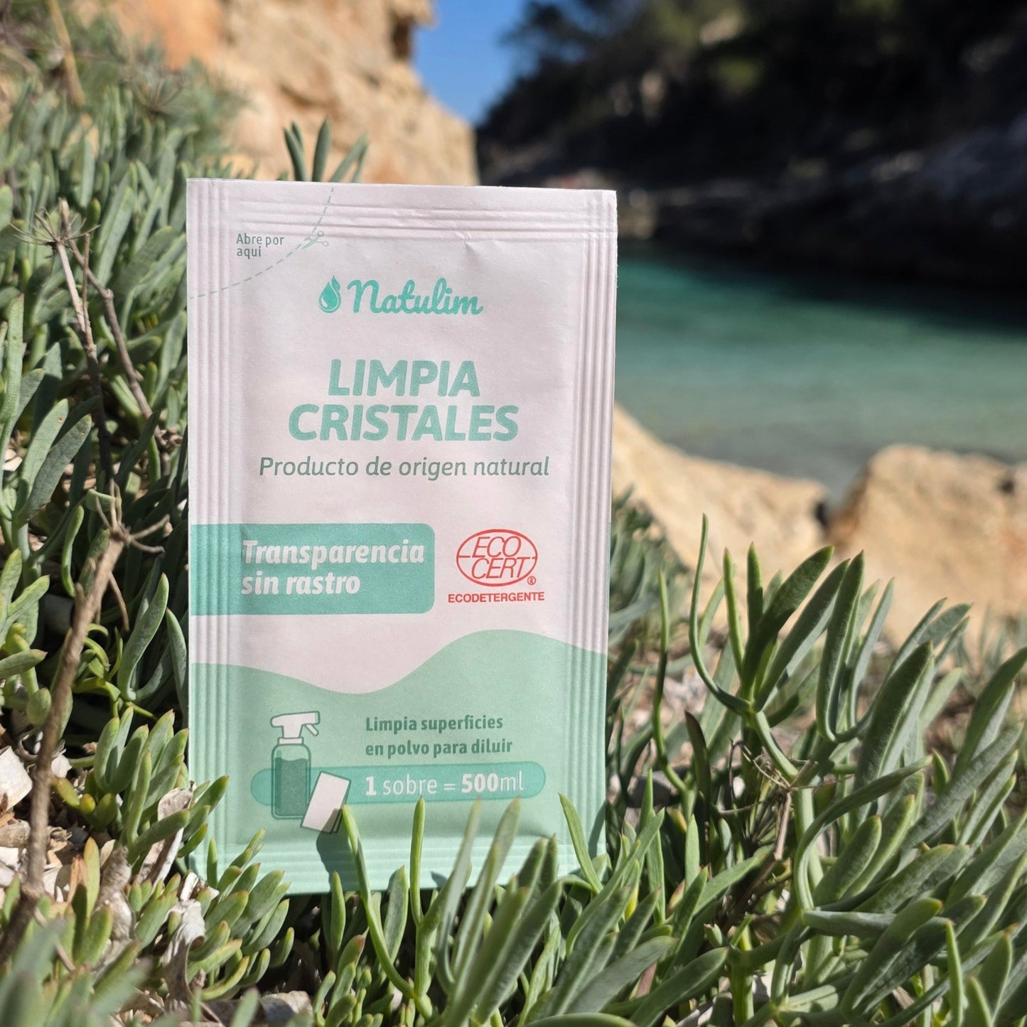 Limpiacristales Refill x 2u.