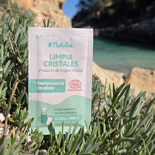 Limpiacristales Refill x 2u.